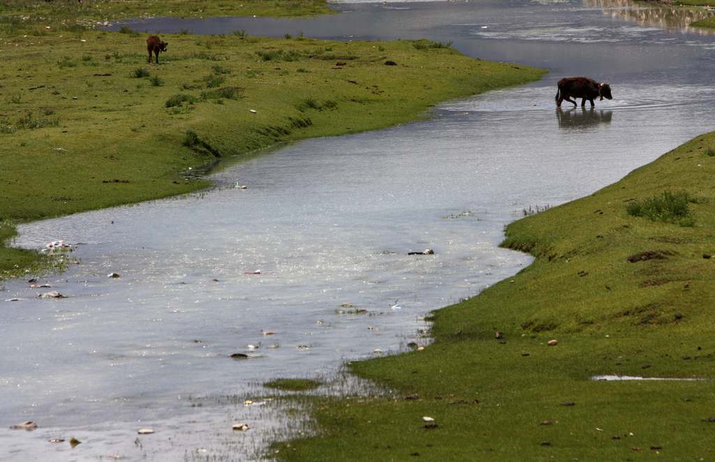 我的天堂之旅“西藏风光”
