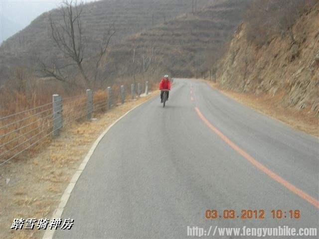 BigBull_DSCN0015 (3).JPG