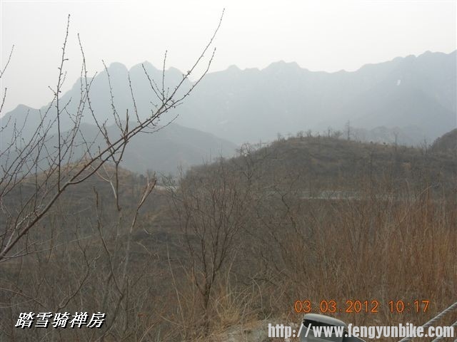 BigBull_DSCN0017 (3).JPG