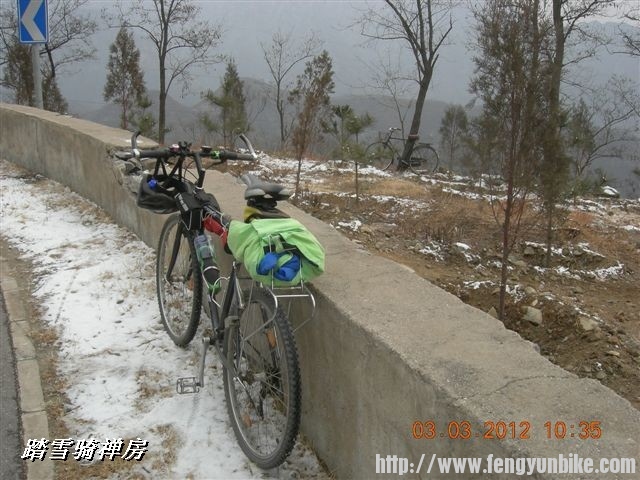 BigBull_DSCN0022 (3).JPG