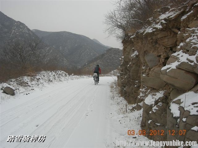 BigBull_DSCN0061 (3).JPG