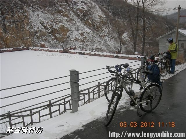 BigBull_DSCN0038 (3).JPG