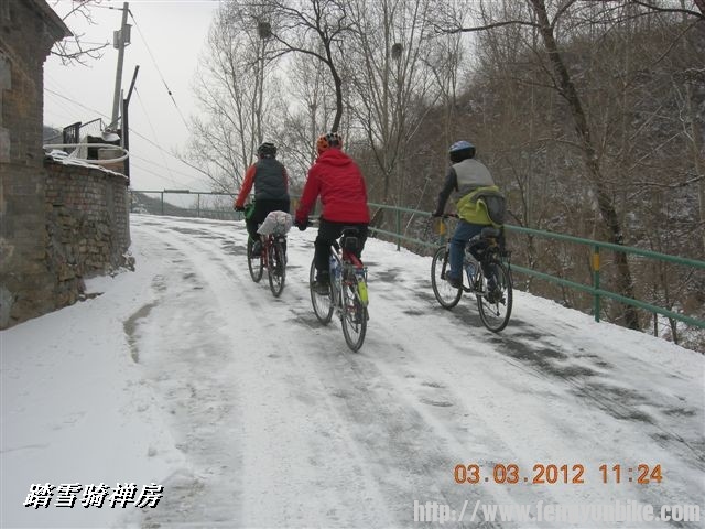 BigBull_DSCN0041 (3).JPG