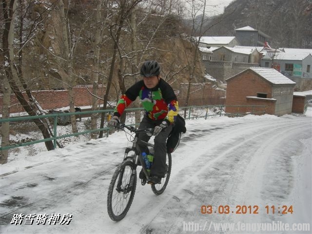 BigBull_DSCN0042 (3).JPG