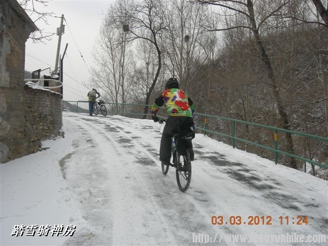 BigBull_DSCN0043 (3).JPG