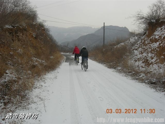 BigBull_DSCN0044 (3).JPG