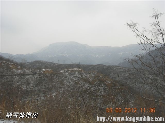 BigBull_DSCN0050 (3).JPG