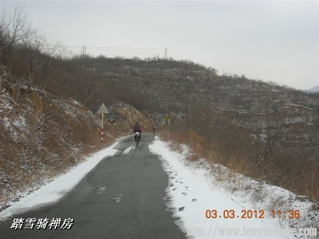 BigBull_DSCN0051 (3).JPG