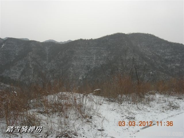 BigBull_DSCN0052 (3).JPG