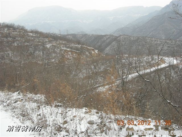 BigBull_DSCN0053 (3).JPG