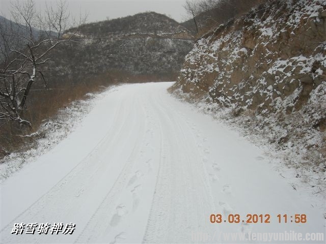 BigBull_DSCN0054 (3).JPG