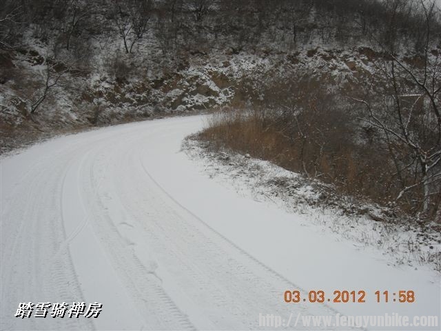 BigBull_DSCN0055 (3).JPG