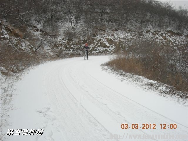 BigBull_DSCN0056 (3).JPG