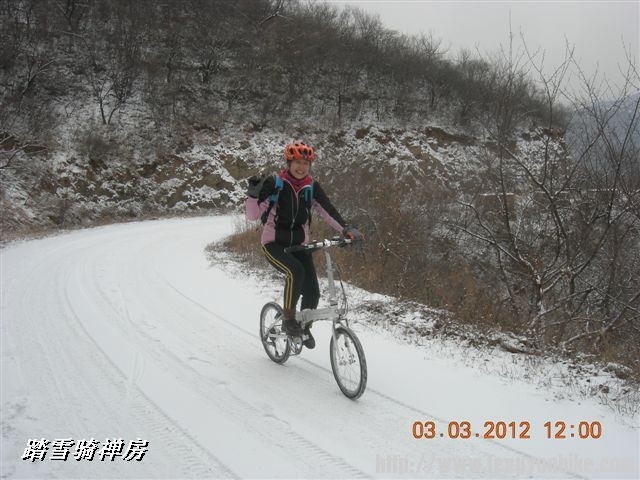 BigBull_DSCN0057 (3).JPG