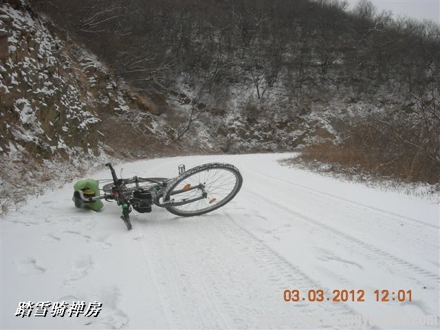 BigBull_DSCN0059 (3).JPG