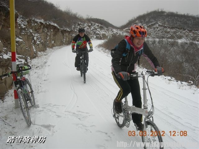 BigBull_DSCN0062 (3).JPG