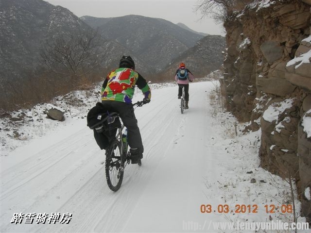 BigBull_DSCN0063 (3).JPG