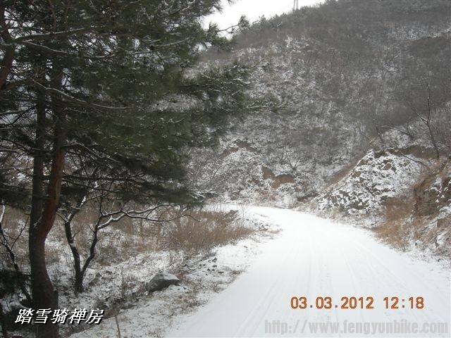 BigBull_DSCN0065 (3).JPG