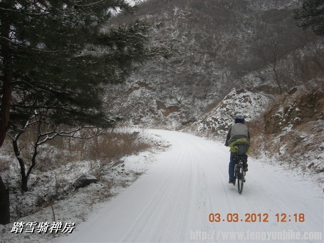 BigBull_DSCN0066 (3).JPG