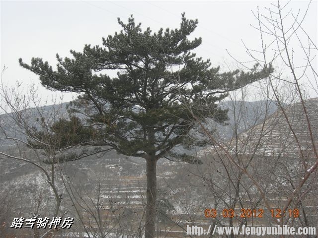 BigBull_DSCN0067 (3).JPG