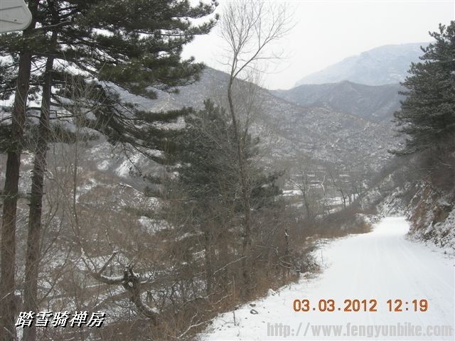 BigBull_DSCN0068 (3).JPG