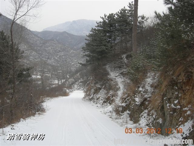 BigBull_DSCN0069 (3).JPG