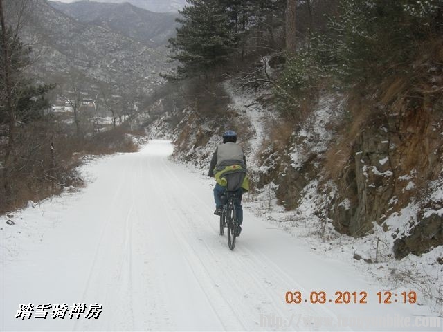 BigBull_DSCN0070 (3).JPG