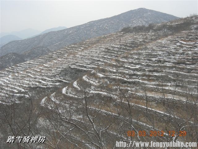 BigBull_DSCN0072 (3).JPG