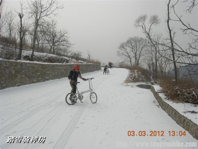 BigBull_DSCN0085 (2).JPG