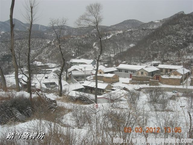 BigBull_DSCN0086 (3).JPG