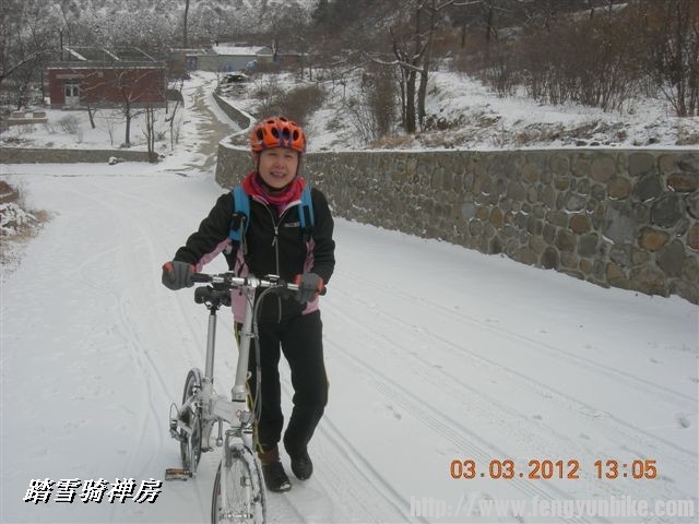 BigBull_DSCN0087 (3).JPG