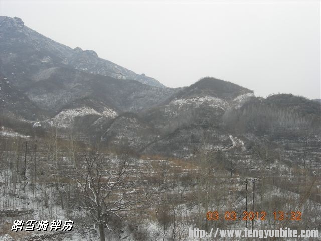 BigBull_DSCN0093 (3).JPG