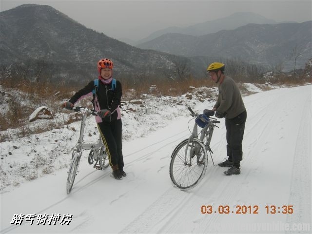 BigBull_DSCN0095 (3).JPG