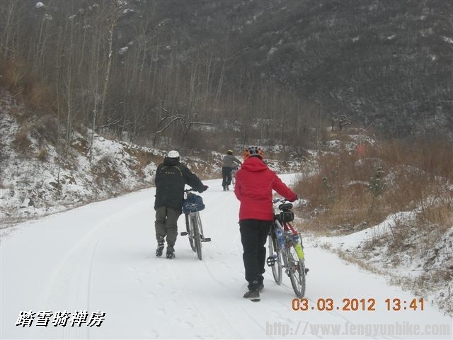 BigBull_DSCN0104 (3).JPG