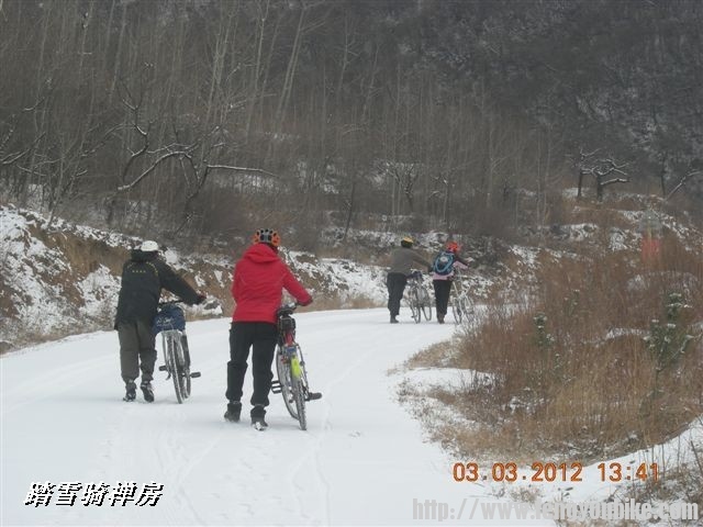 BigBull_DSCN0105 (3).JPG