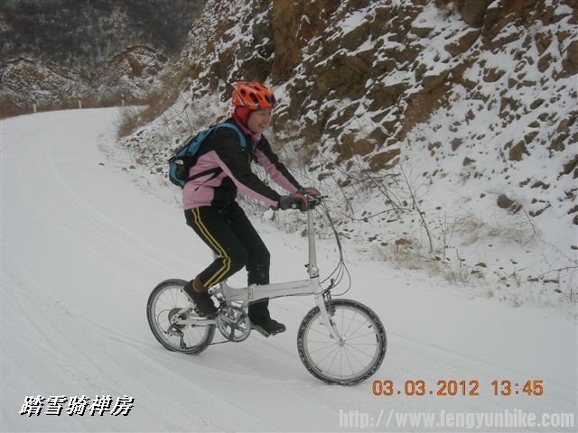 BigBull_DSCN0107 (3).JPG