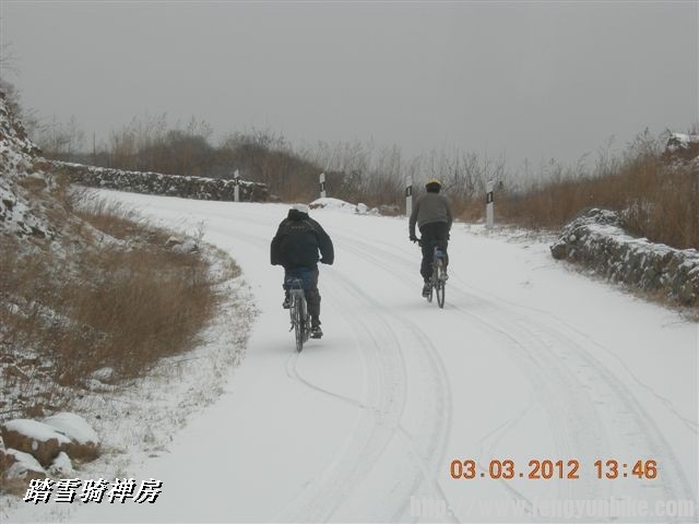 BigBull_DSCN0110 (3).JPG