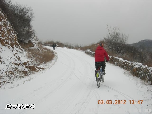 BigBull_DSCN0111 (3).JPG