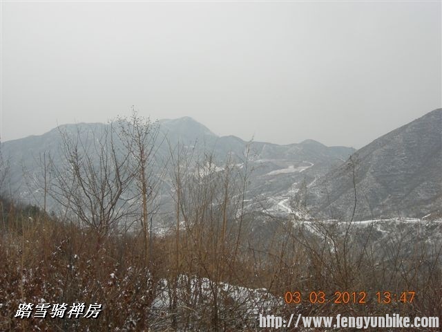 BigBull_DSCN0112 (3).JPG