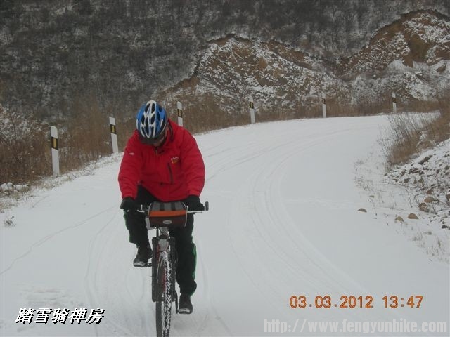 BigBull_DSCN0113 (3).JPG