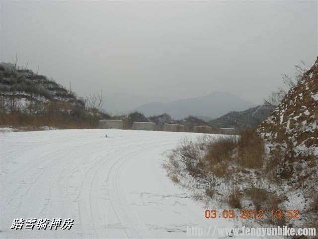 BigBull_DSCN0116 (3).JPG