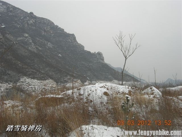 BigBull_DSCN0117 (3).JPG