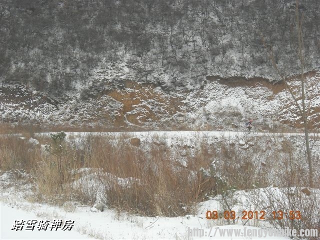 BigBull_DSCN0121 (3).JPG