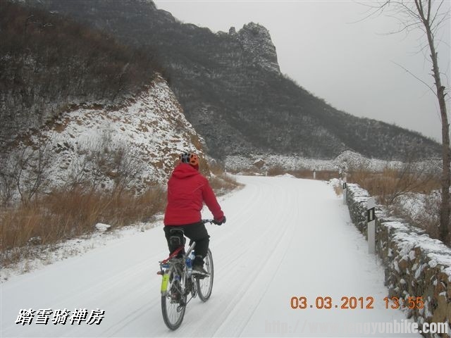 BigBull_DSCN0123 (3).JPG