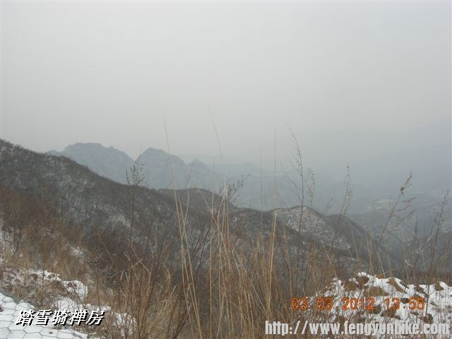 BigBull_DSCN0124 (3).JPG