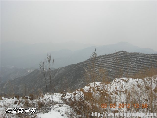 BigBull_DSCN0125 (3).JPG