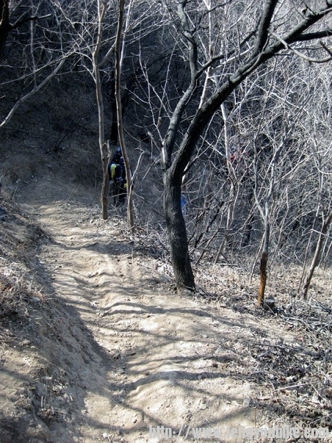 IMG_1513 (600x800).jpg