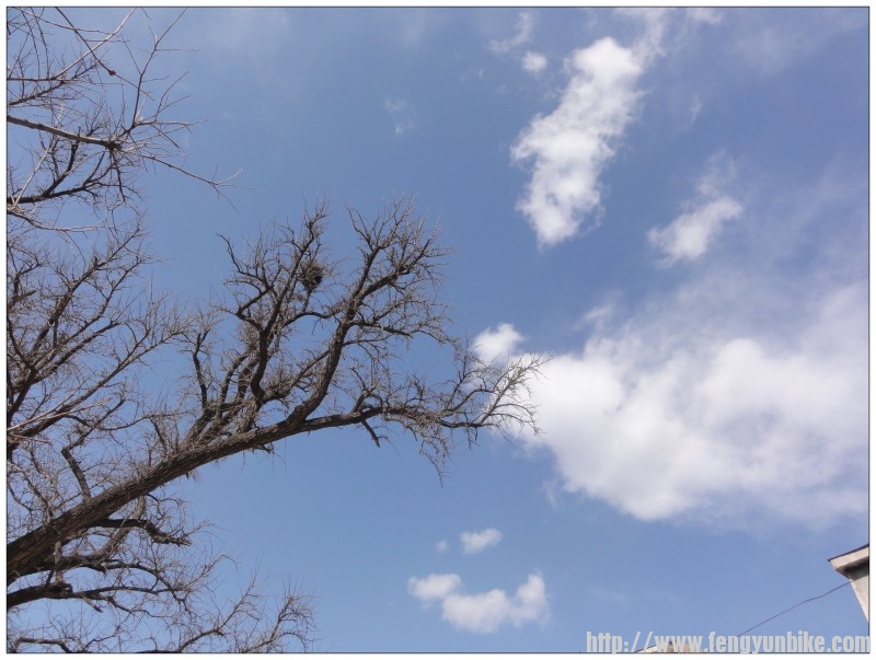 泰陵吃饭门前的天空