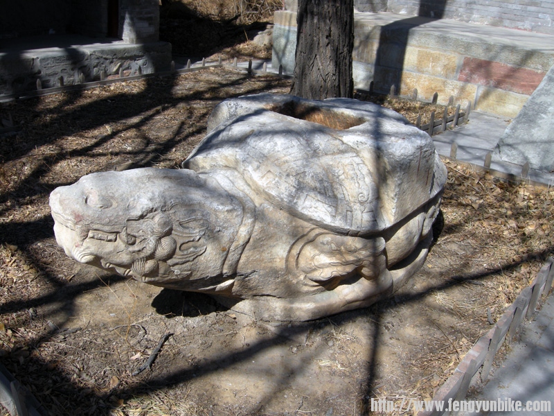 失去了碑的龟趺37.jpg