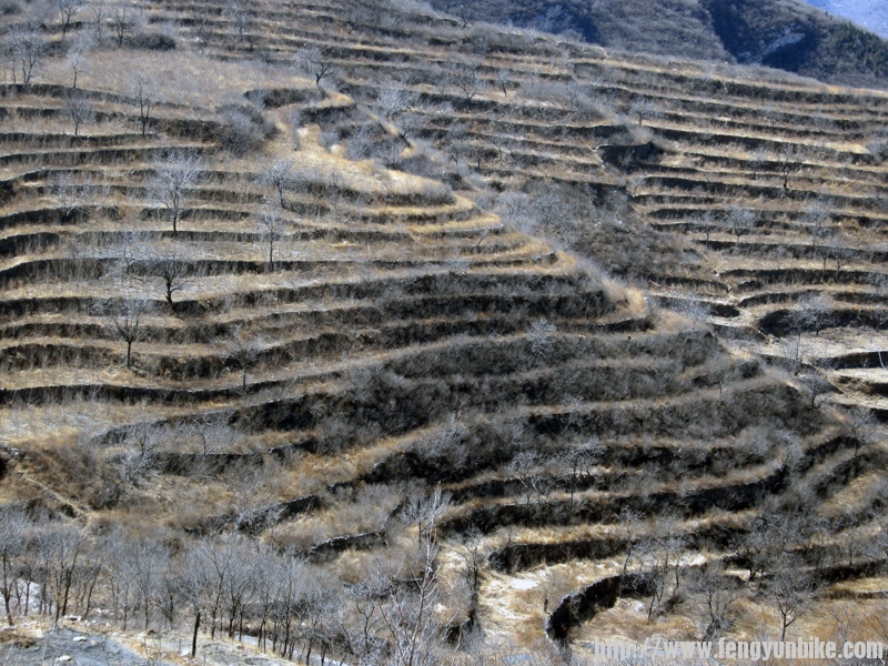 貌似梯田23-2.jpg